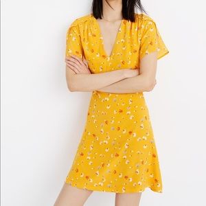 Silk Belladonna Dress in Painted Carnations